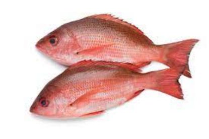 Imagen de Pargo Entero 5 lb
